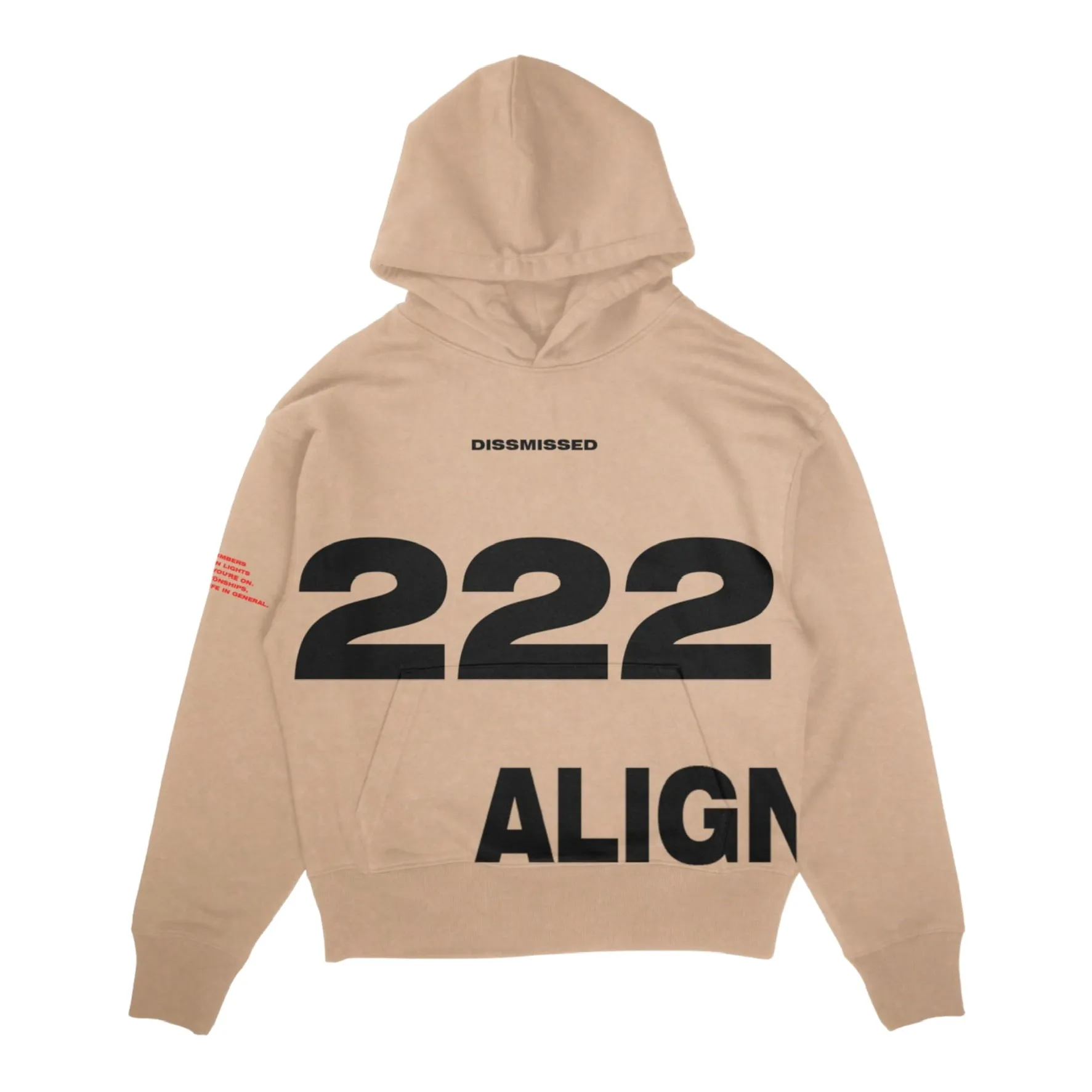 DISMISSED: Alignment 222 Hoodie