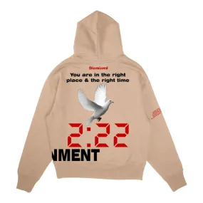 DISMISSED: Alignment 222 Hoodie